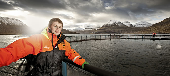 Faroe Islands Salmon