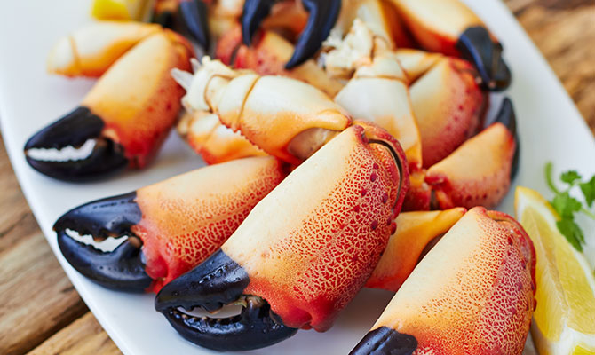 Stone Crab