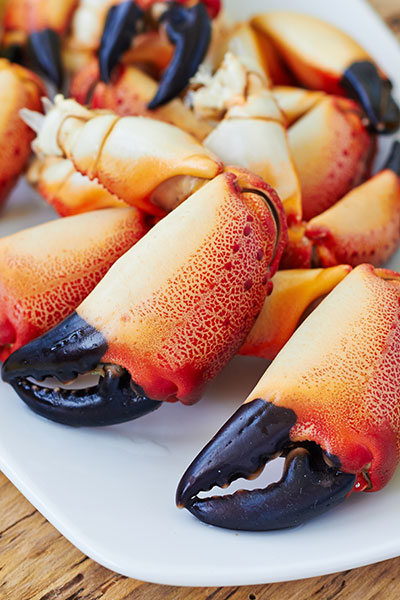 Stone Crab'